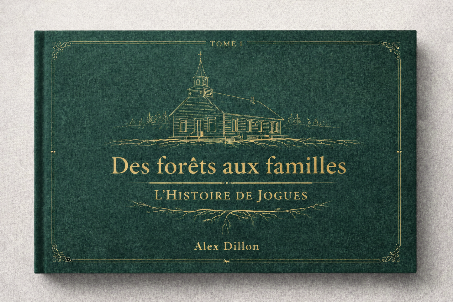 Tome I - Des forêts aux familles: L'Histoire de Jogues